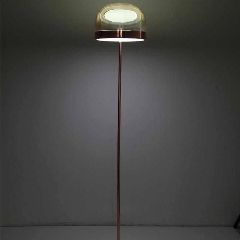Modern Lighting LED Floor Lamp Smoke or Copper Glass Standing Lamp LED Floor Lamp (WH-MFL-159)