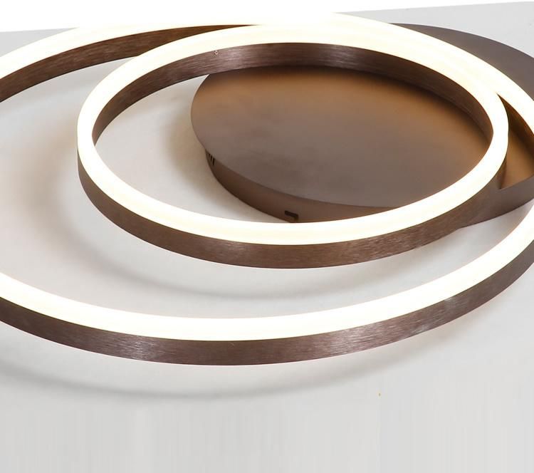Modern Lights Ring Living Room Bedroom Modern Light Electrical