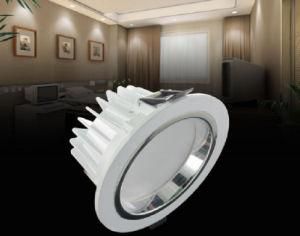 LED High Power Downlight 30W LED Lightings