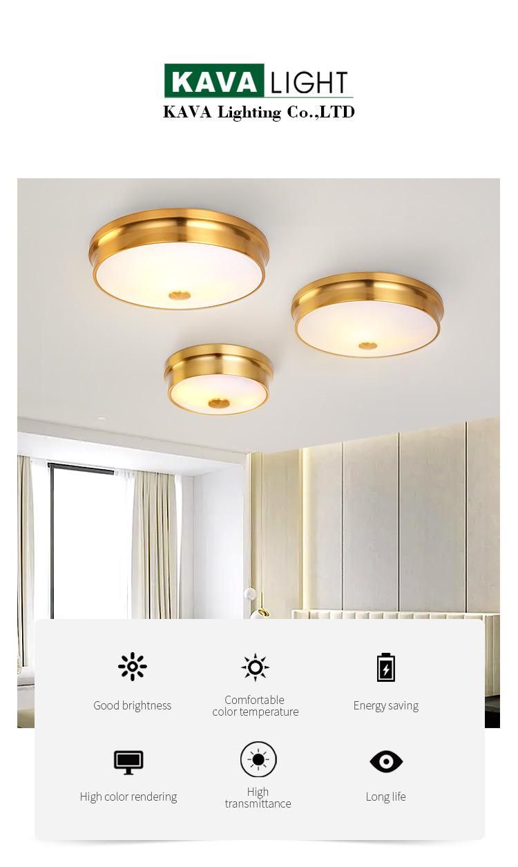 Modern Luxury Plated Gold Brown Round Iron Art Restaurant Porch Ceiling Light for Dining Room