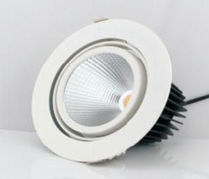 LED Downlight (QYB-1011-34W-01)