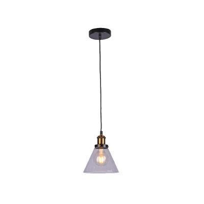 One Lite E27 Clear Glass Pendant Lamp in Matt Black