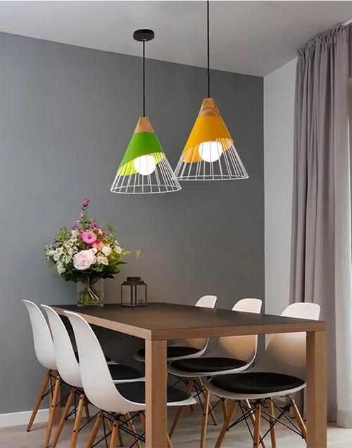 Pendant Lighting Suppliers Interior Modern Pendant Lamp