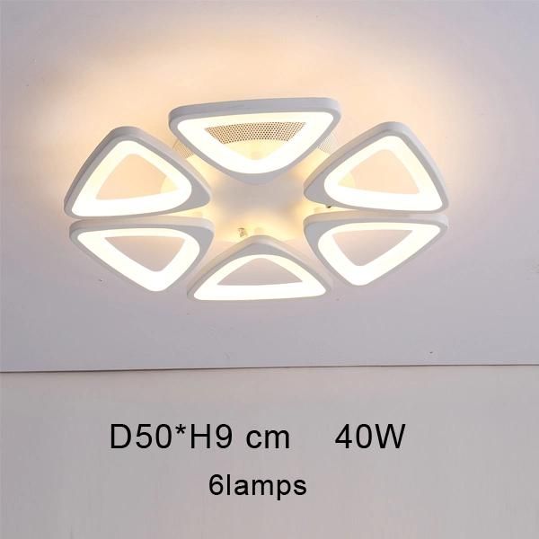 Adjustable Acrylic Ceiling Lights for Living Room Bedroom Kitchen Lighting Fixtures (WH-MA-58)