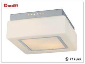 Glass Simple Modern New Style Decorative LED Ceiling Light