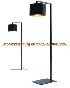 Metal Floor Lamp (WHF-213)