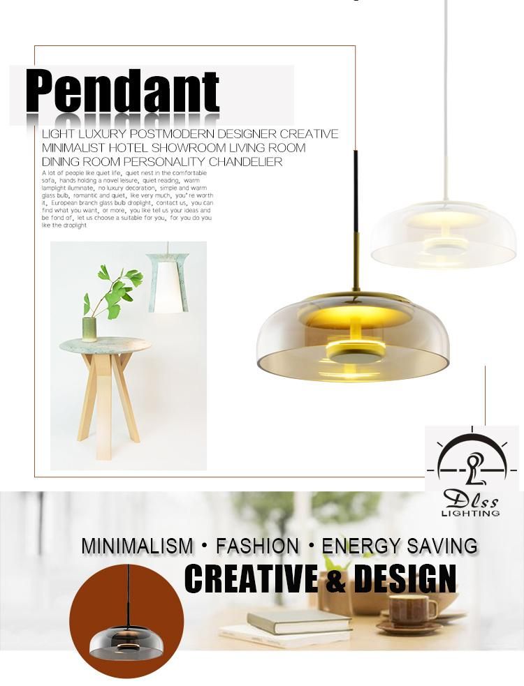 Interior Desinger Home Smoky Glass Bowl LED Pendant Lights