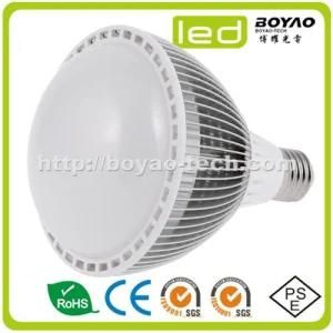 LED PAR30 Bulb 7W E27