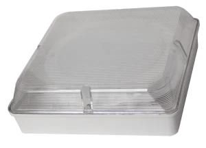 6W LED Square Emergency Bulkhead Lighting