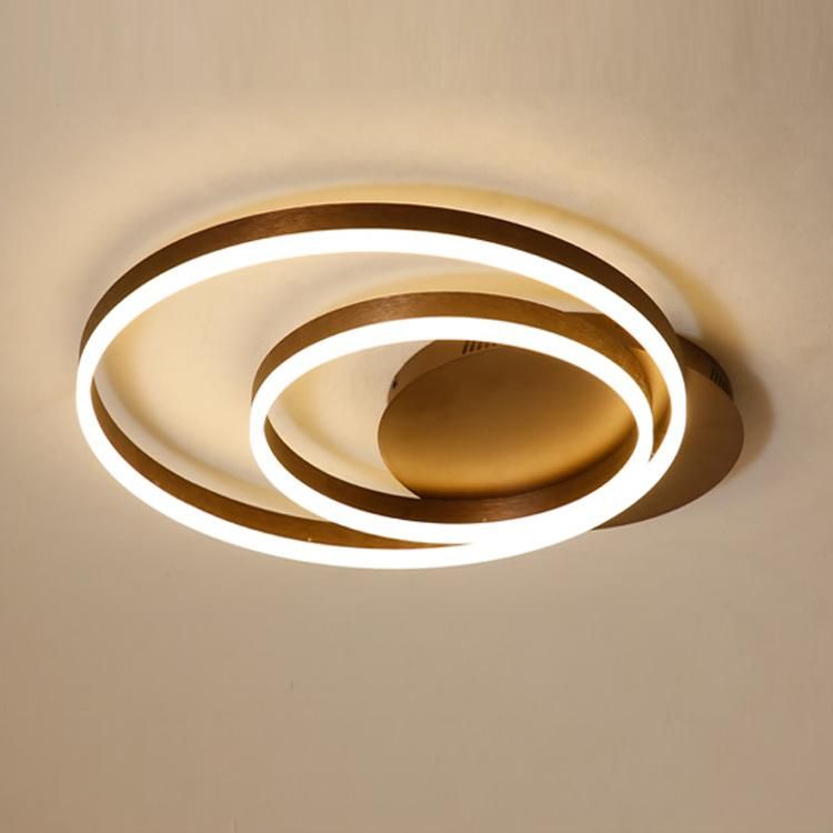 Modern Lights Ring Living Room Bedroom Modern Light Electrical