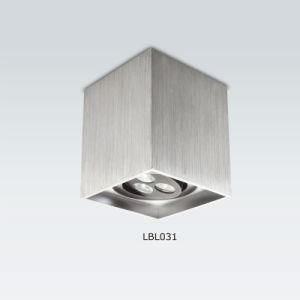 LED Surface Downlight (LBL031)