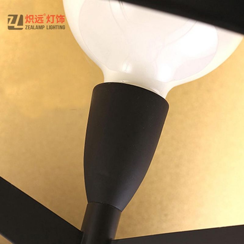 Indoor Lighting Iron Decoration Lamp for Living Room (ZLF023)