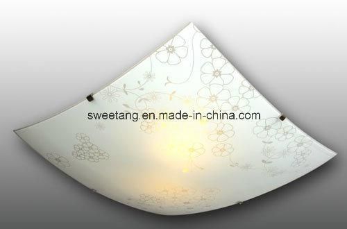 Ceiling Light Square Style with Glass Shade for Indoor Interior