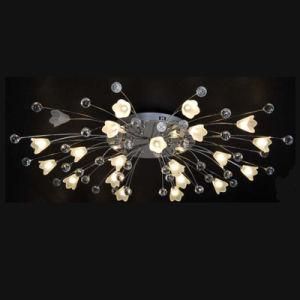 Ceiling Light / Ceiling Lamp