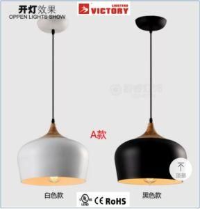 Modern Original Design Decorative Projects Use Hanging Lamp