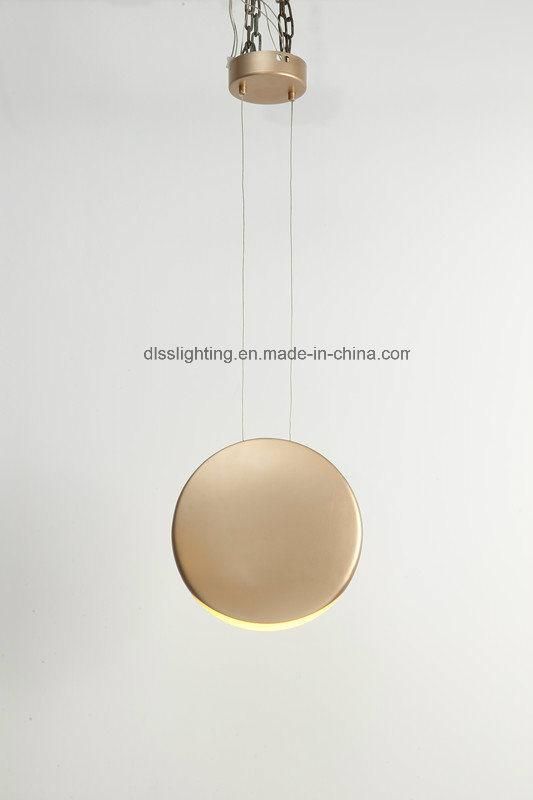 Modern Simple Round Pendant Lamp LED Lighting