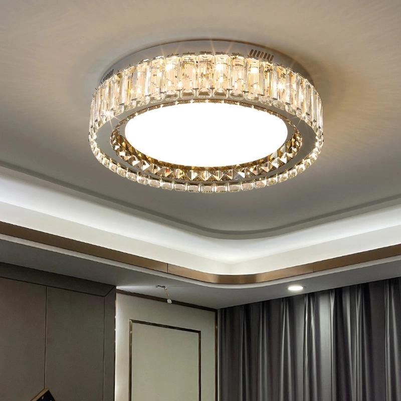 Modern Ceiling Lamps for Living Room Bedroom Hallway LED Lights for Dining Room (WH-CA-66)