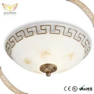 Hot Sell Modern Painting Glass Ceiling Lamp (MX5058)