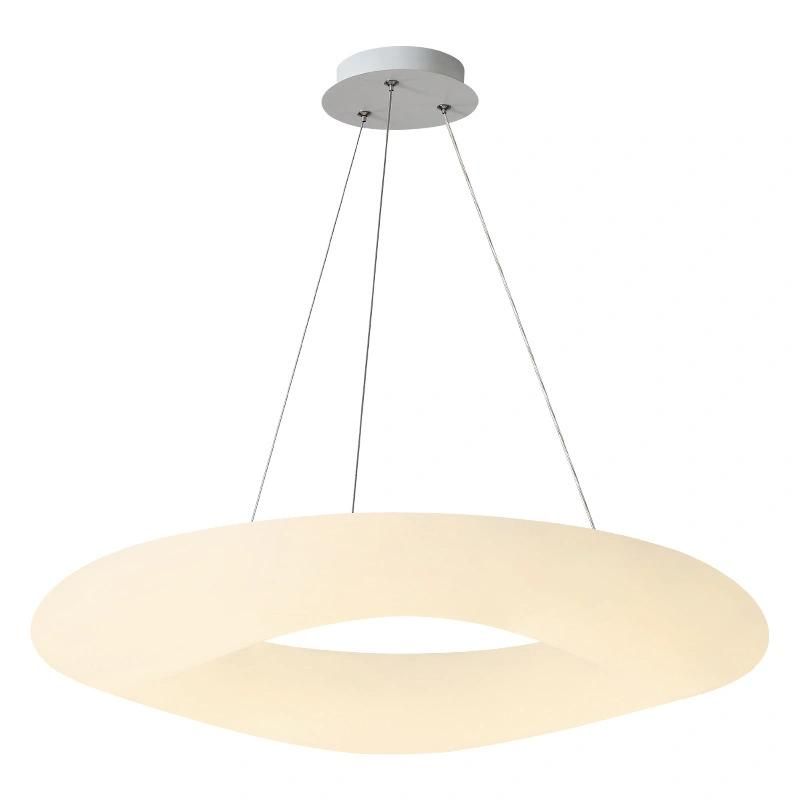 Nordic Pendant Lights Dining Living Room Chandelier Bedroom Decoration Ring Chandelier (WH-GP-58)