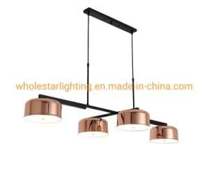 Metal Swivel Pendant Lamp / Chandelier (WHP-542)