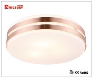 LED Modern Simple Surface Mount Ceiling Lamp for Indoor