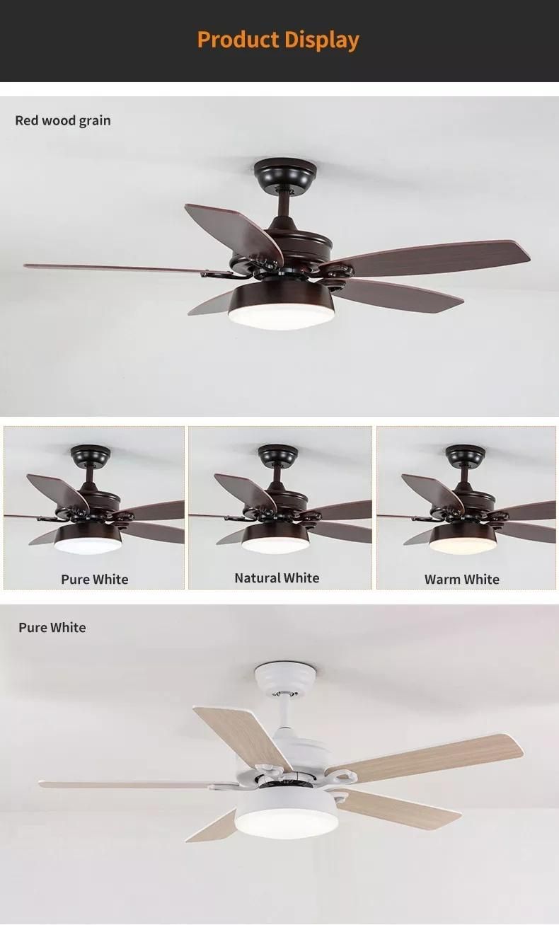 Cooling Fan Chandelier Modern Design New Arrival Decorative Ceiling Fan Electric Fan with Light