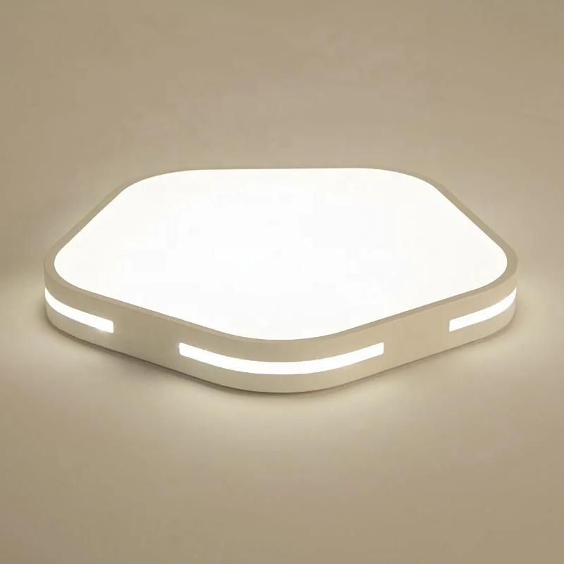 Hotel Ceiling Lamp LED Light Smart LED Ceiling Light
