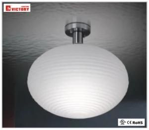 Modern Simple White Glass Decorative Ceiling Light for Living