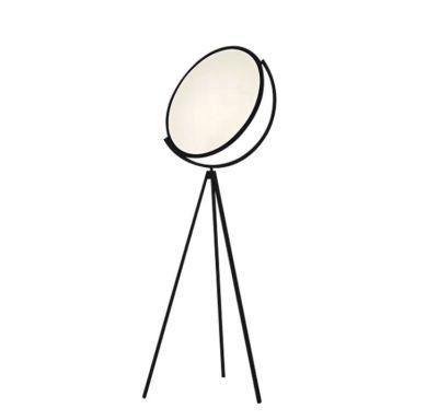 LED36W Italian Modern Minimalist Living Room and Sample Room Floor Lamp Nordic Designer Study Exhibition Hall Art Fall Floor Lamp