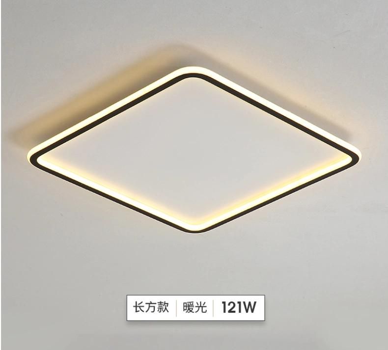 Pendant Lamp Indoor Light Acrylic Hanging Modern Lamp for Room