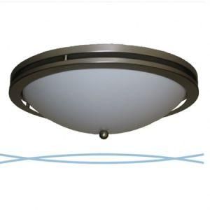 Modern Hotel Brushed Nickel Decorative Ceiling Lamp