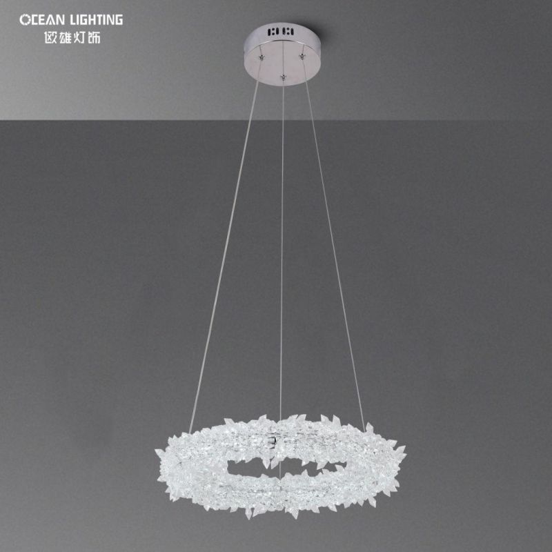 Pendant Lighting for Kitchen Hanging Pendant Light Omd8138/40 Dia40cm