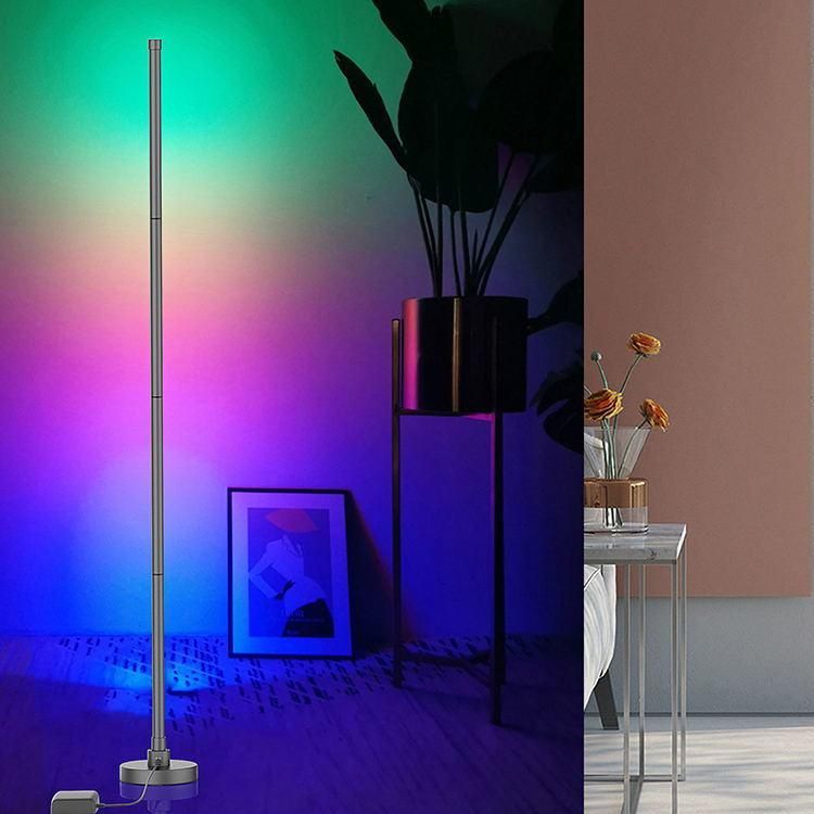 Modern Nordic Decor Designer Corner Standing RGB LED Floor Lamp LED Linear with Remote Control