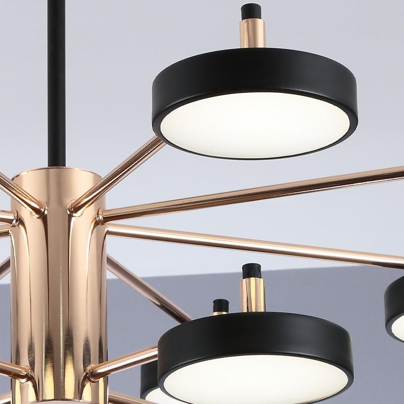 Nordic Style Art Decoration Light LED Panel Pendant Ceiling Indoor Light