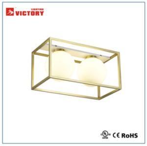 Simple Decoration Popular Brass Lamp Ceiling Light