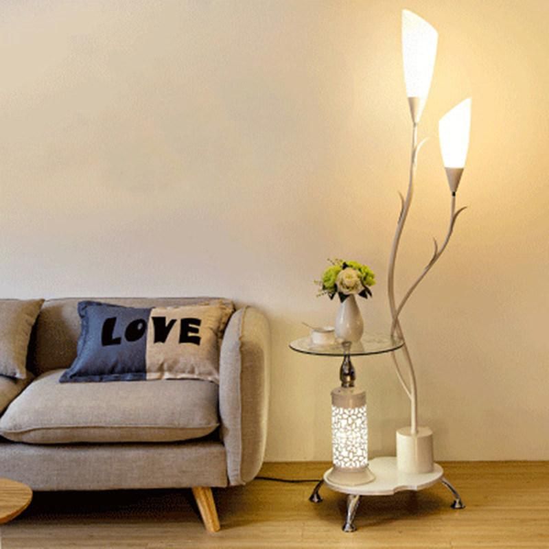 Nordic Desktop Floor Lamp Modern Bedroom Floor Light Living Room Living Room Standing Lamp (WH-MFL-116)
