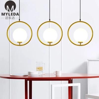 Modern Metal Glass Suspension Style LED Bulb Light Source Pendant Light