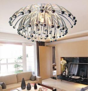 Ceiling Light (758-1L)