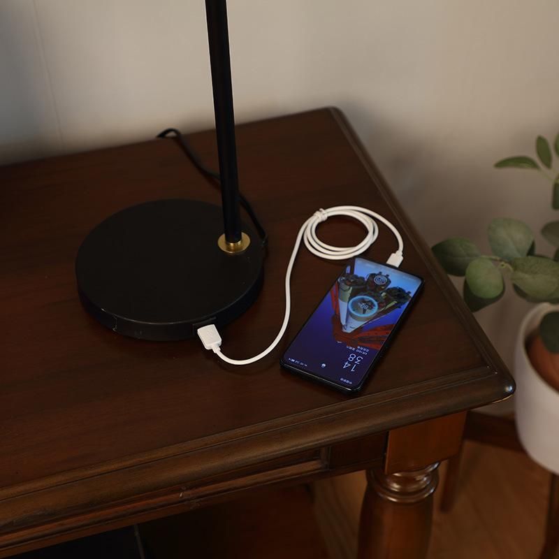 LED Light Black Metal Table Lamp with Adjustable Head, Desk Lamp with USB Charging Port