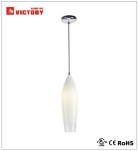 Newest Design Modern Romance Decorative LED Pendent Lamp Light