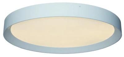 Popular Simple Indoor LED Ceiling Lamp with ETL