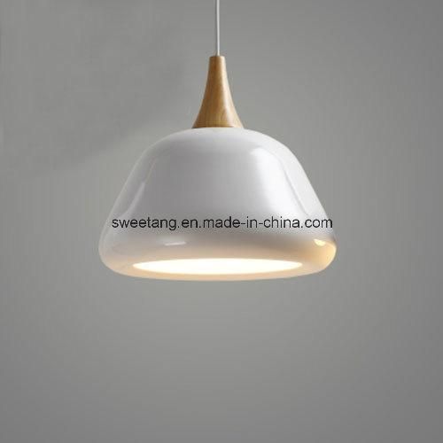 Modern Style Pendant Lamp for Restaurant Hanging Decoration Light