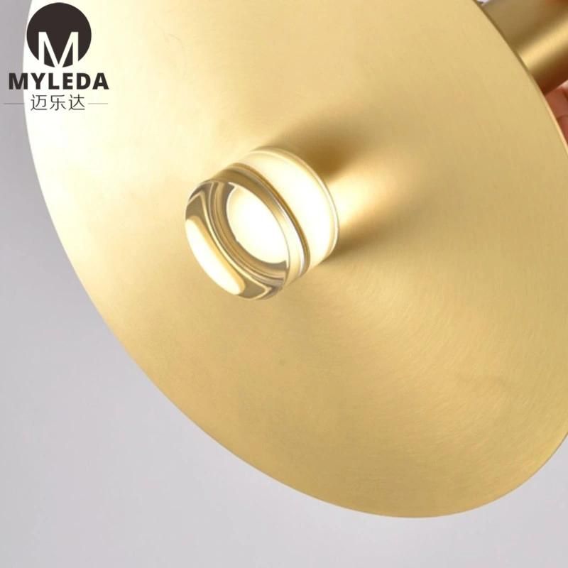 Hotel Modern Acrylic Brass Stainless Steel LED Hanging Pendant Light