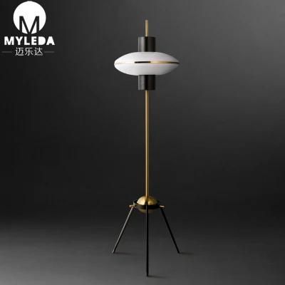 Modern Decorative Floor Lamp for Hotel