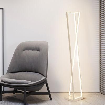 Indoor Living Room Modern Luxury 70W Dimmable Metal Floor Lamp