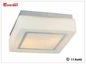 Modern White Glass Home&Hotel Project Use LED Ceiling Light