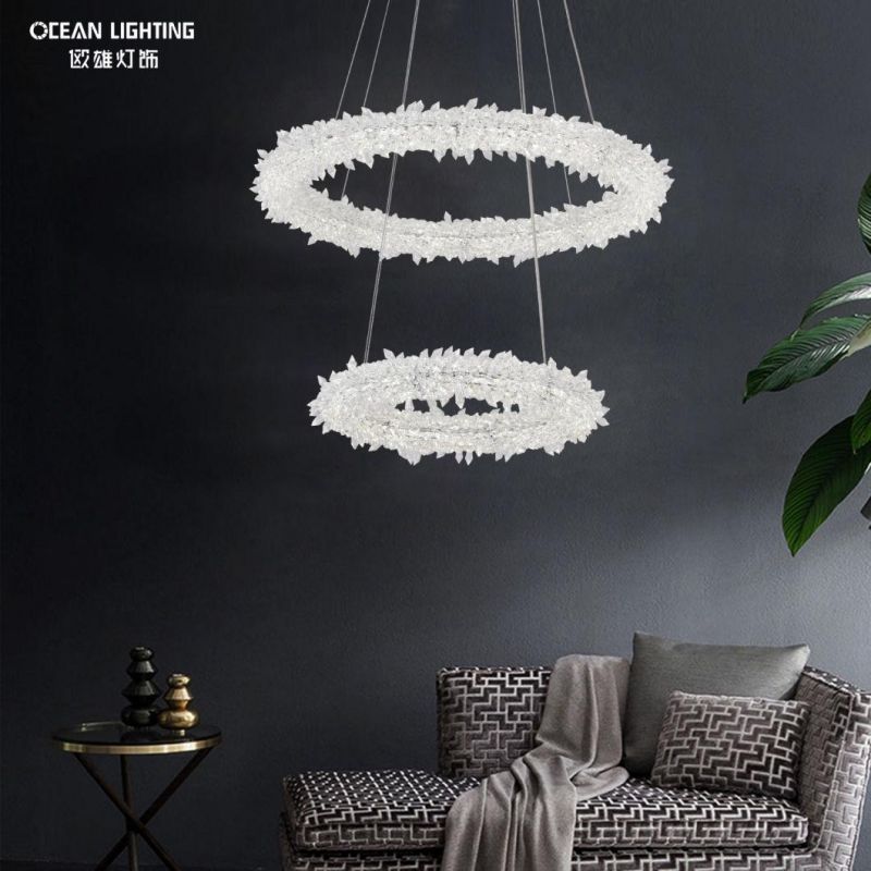Ceiling Lamps for Living