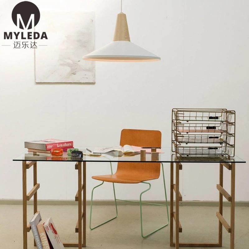 Colorful Hotel Project Decoration LED Pendant Lamp