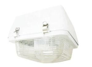 Induction Ceiling Light (NLOW-XD0507)