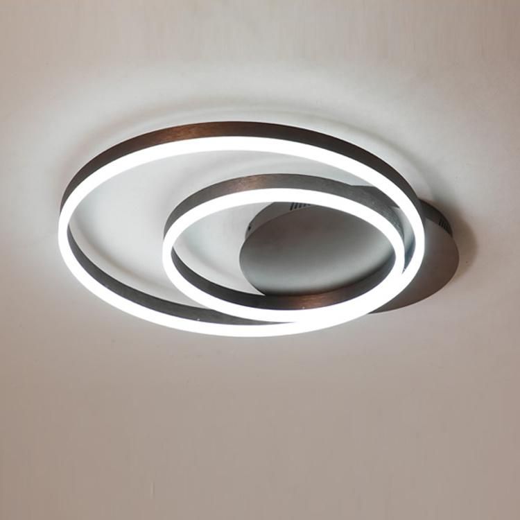 Modern Lights Ring Living Room Bedroom Modern Light Electrical